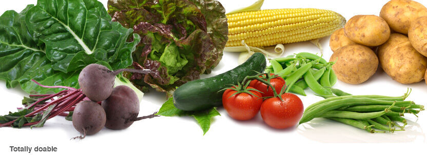 September in New Zealand Home Gardens