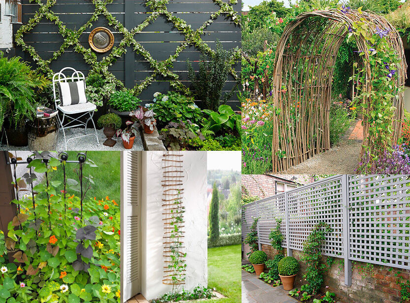 Build a trellis in your garden