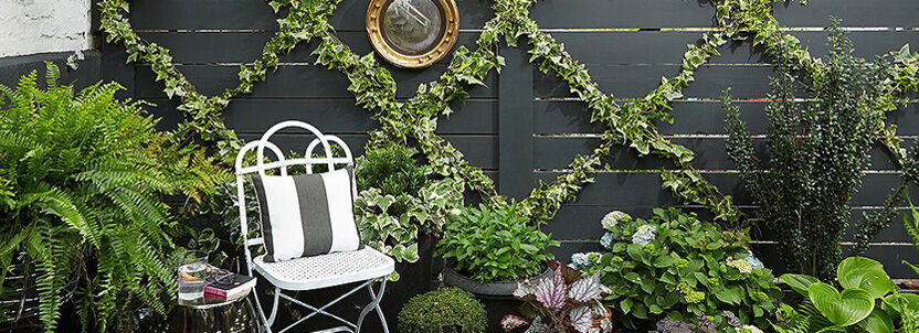 Affordable Landscaping Projects to DIY